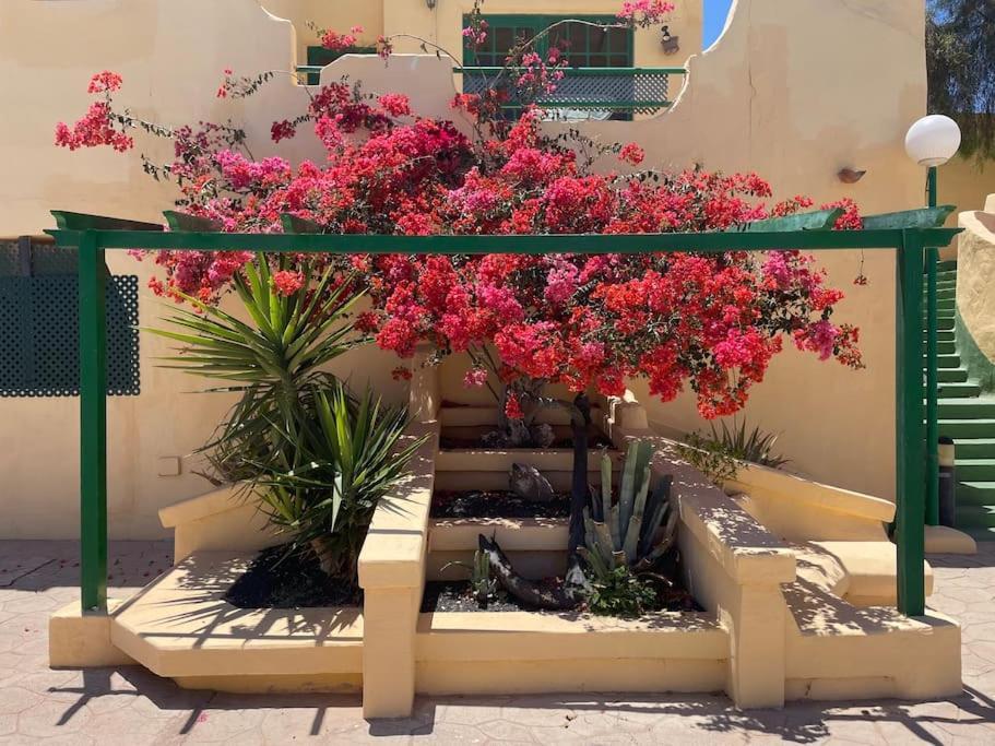 Fuertevilla Costa Calma Extérieur photo